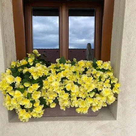 Villa Statek Na Samote Ceske Mezirici Esterno foto