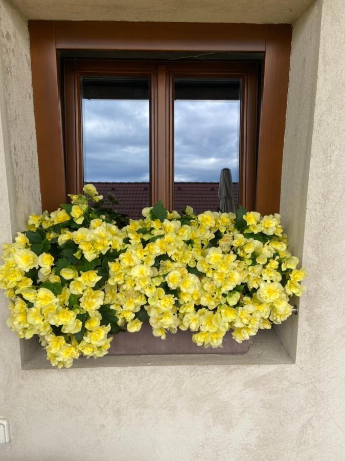 Statek Na Samote Holiday home